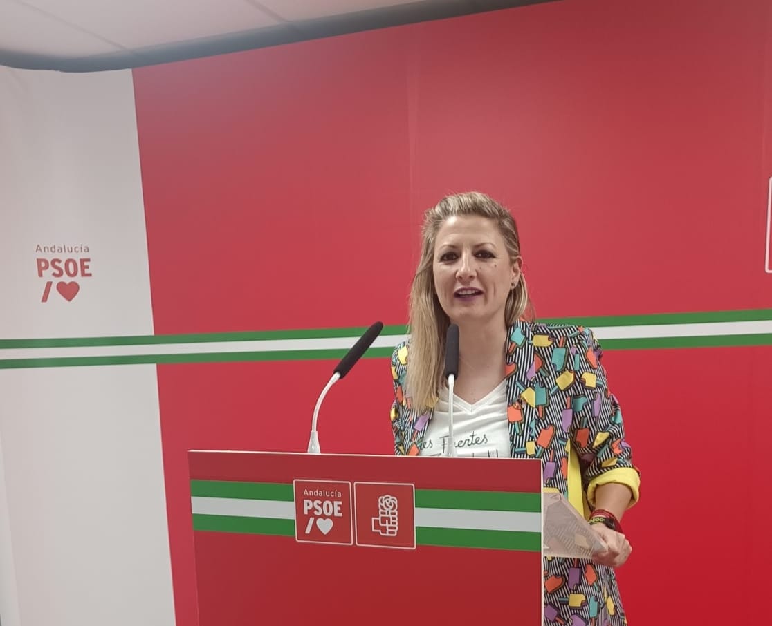 El PSOE reclama a la Junta de Andalucía agilidad con las actuaciones de arreglos de la A-434 a su paso por Cala