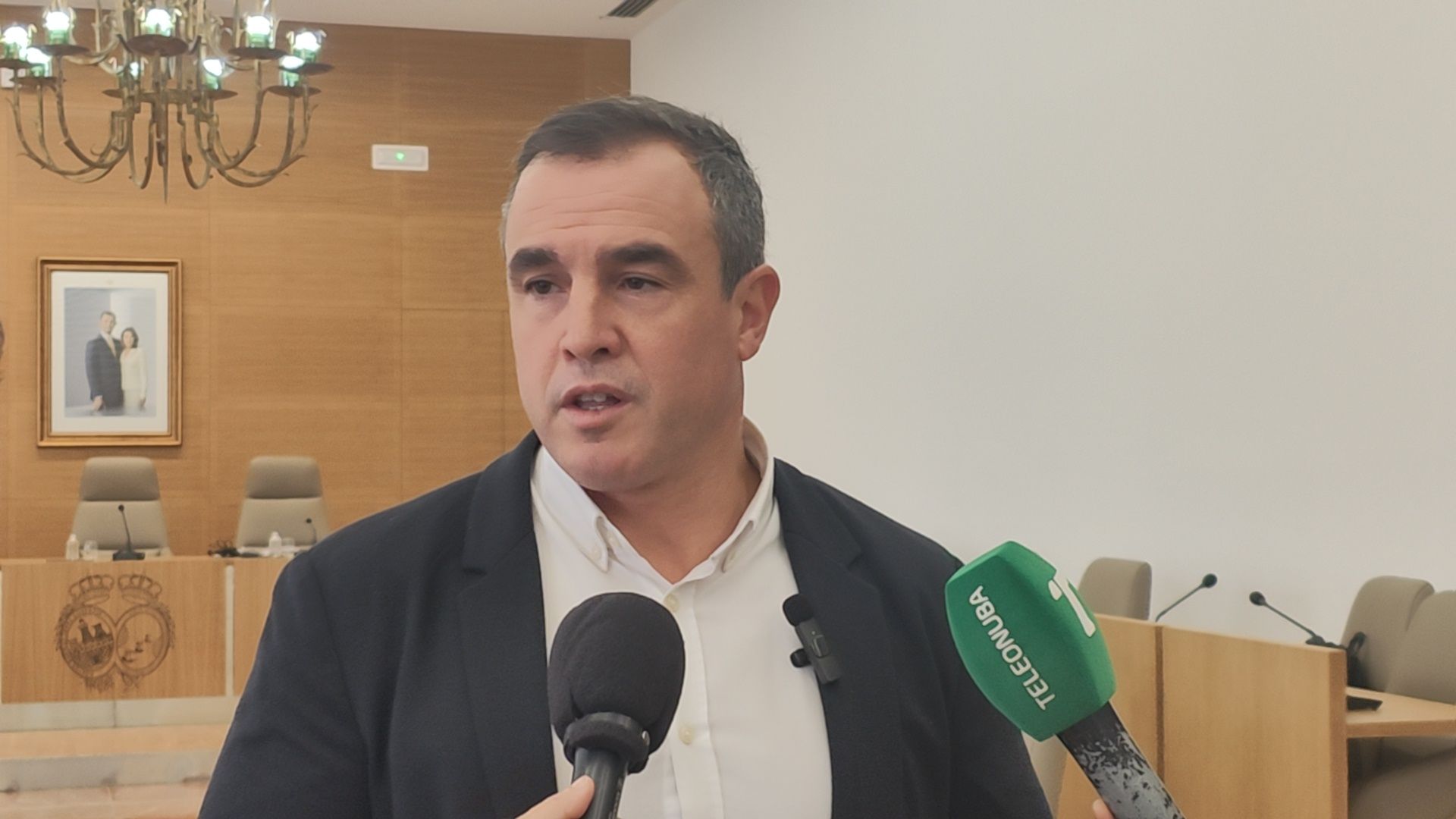 El PSOE pide a la Diputación que intensifique el tratamiento para atajar de manera rápida y efectiva la plaga de mosquitos