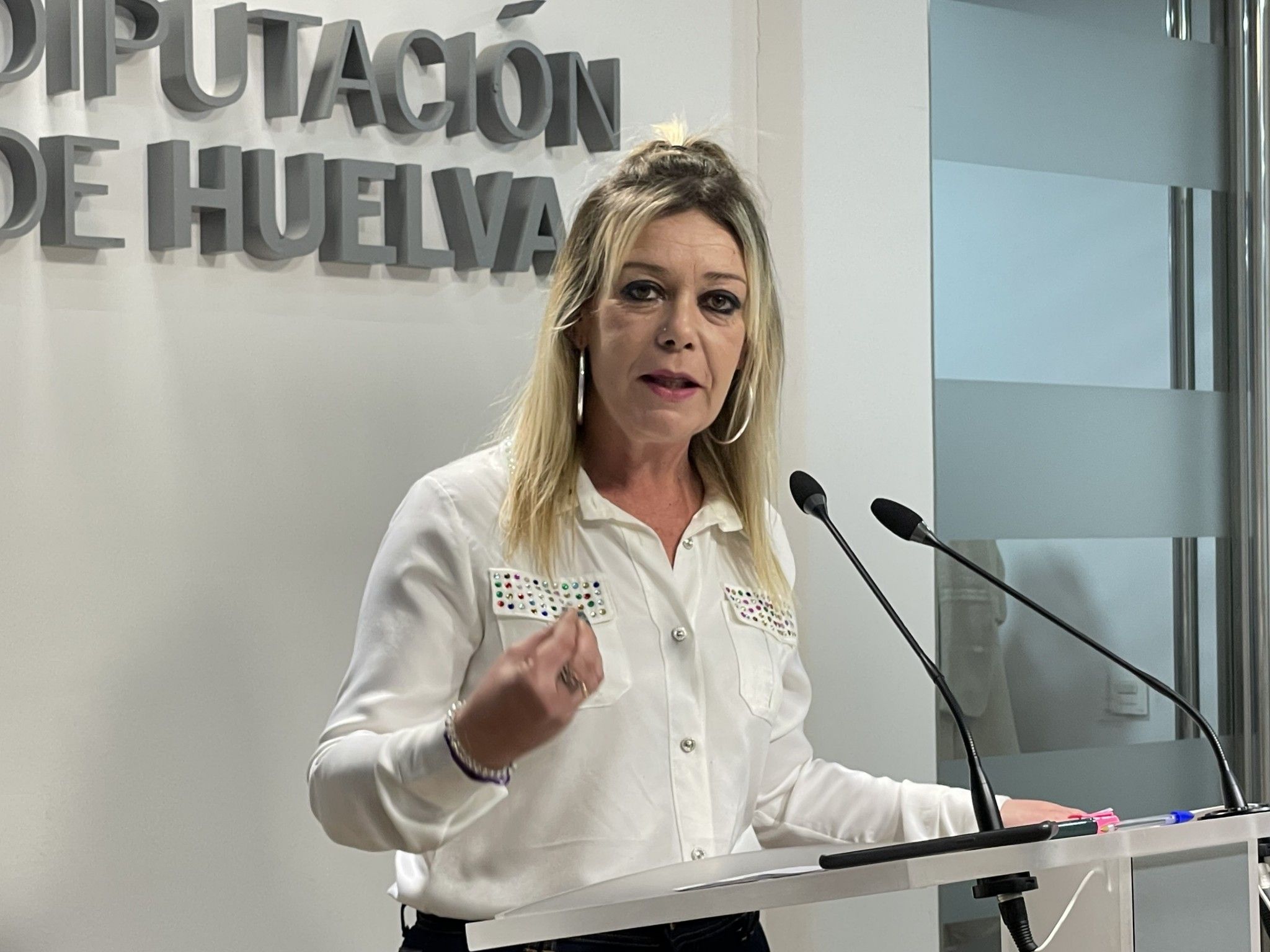El PSOE pide a la Diputación que retome el proyecto de navegabilidad del río Tinto para interconectar los puertos de los Lugares Colombinos con los de Huelva y San Juan del Puerto