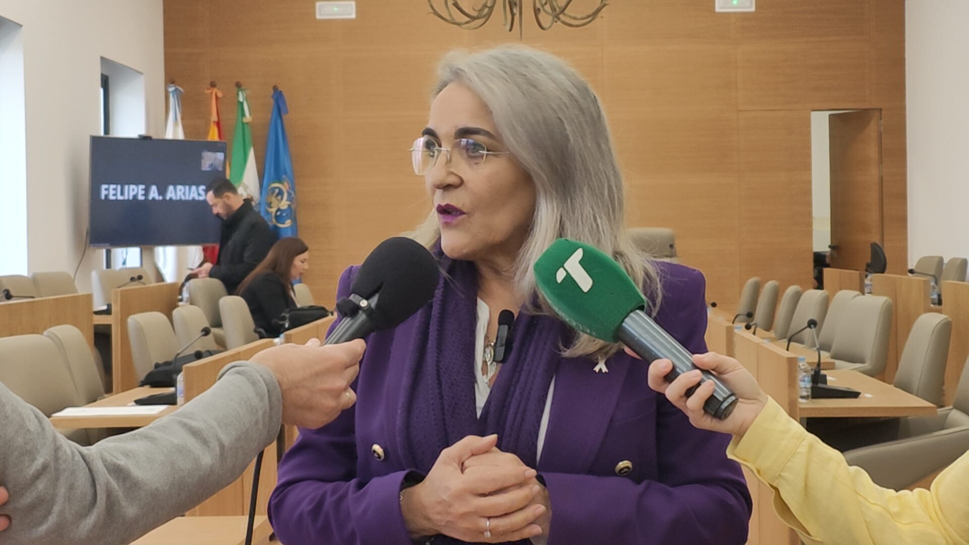 El PSOE celebra que su iniciativa para la conexión de los pueblos colombinos se convierta en una declaración institucional en la Diputación
