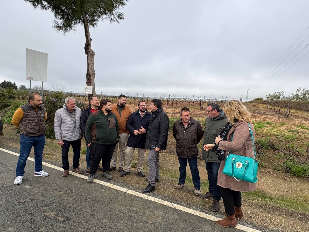 PSOE de Huelva exige a la Junta una ayuda urgente de 3.000 euros por hectárea y un plan integral de recuperación para salvar el viñedo del Condado