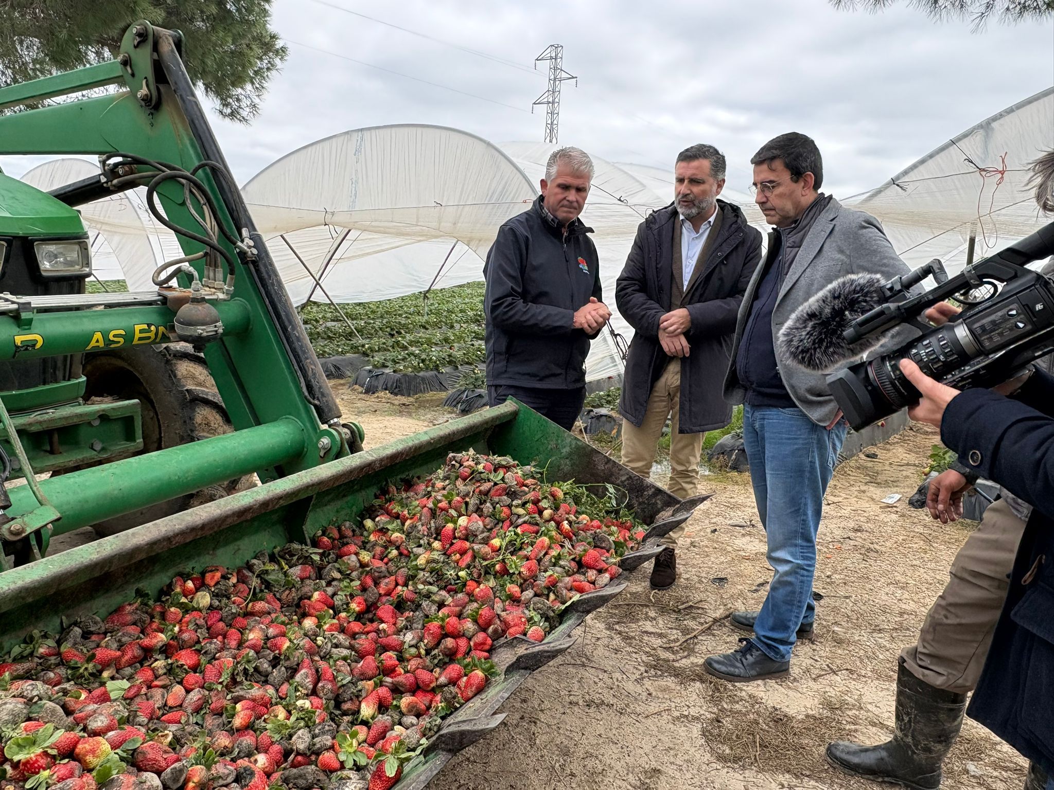 PSOE pide a la Junta la «celeridad» del Gobierno en las ayudas para los sectores económicos afectados por las borrascas