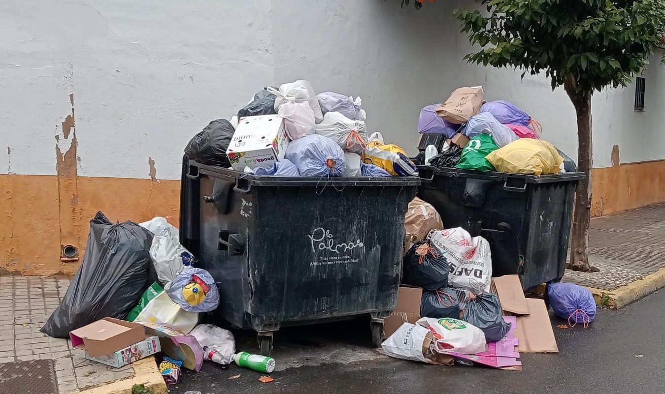 El PSOE de La Palma rechaza una tasa de basura “injusta, ilegal y puramente recaudatoria”