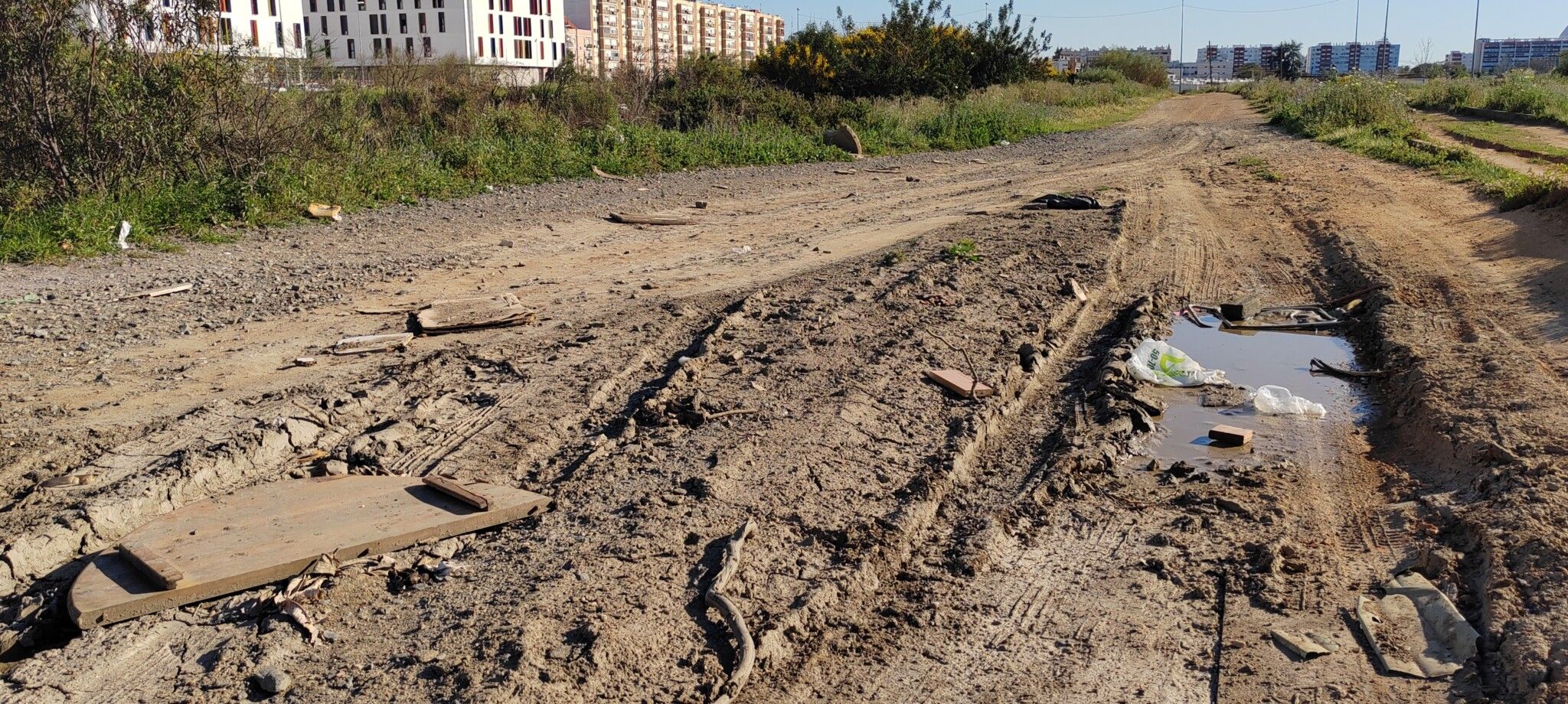 El PSOE denuncia el peligroso camino de entrada y salida a Nueva Santa Lucía con maleza, basura, ratas y piletas al descubierto