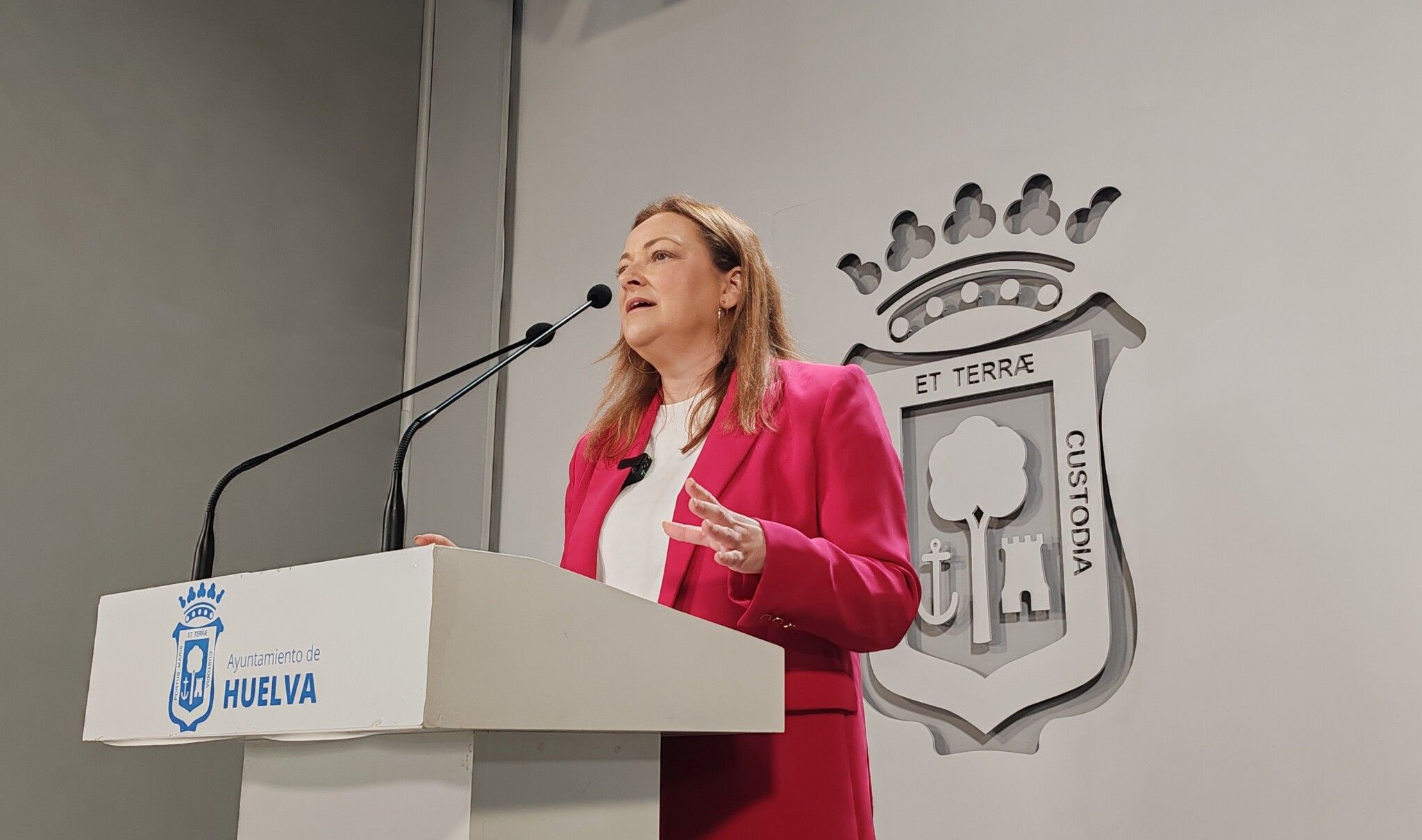 El PSOE lleva al pleno un plan de choque contra el “desmantelamiento” de la sanidad pública en Huelva