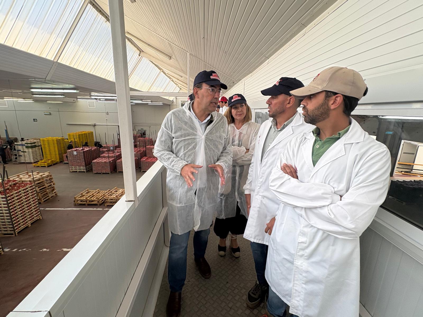 El PSOE se compromete a que Huelva sea «la referencia en Andalucía de una agricultura de calidad industrial que genera riqueza y mucho empleo»